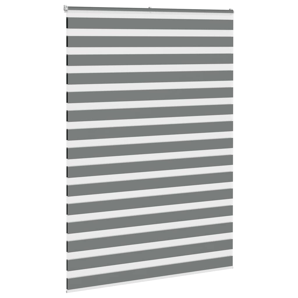 VidaXL Zebra-Rollo 155x200 cm Stoffbreite 150,9 cm Dunkelgrau
