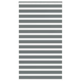 VidaXL Zebra-Rollo 125x230 cm Stoffbreite 120,9 cm Dunkelgrau