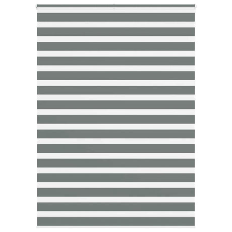 VidaXL Zebra-Rollo 165x230 cm Stoffbreite 160,9 cm Dunkelgrau