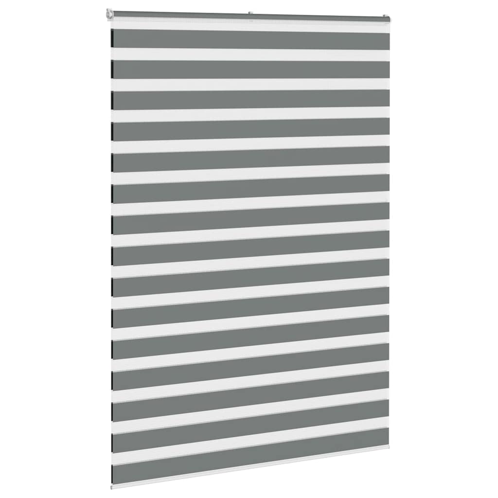VidaXL Zebra-Rollo 165x230 cm Stoffbreite 160,9 cm Dunkelgrau