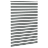 VidaXL Zebra-Rollo 165x230 cm Stoffbreite 160,9 cm Dunkelgrau