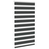 VidaXL Zebra-Rollo 80x100 cm Stoffbreite 75,9 cm Schwarz