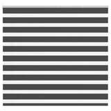 Vidaxx Zebra-Rollo 155x100 cm Stoffbreite 150,9 cm Schwarz