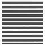 VidaXL Zebra-Rollo 145x150 cm Stoffbreite 140,9 cm Schwarz