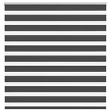 VidaXL Zebra-Rollo 150x150 cm Stoffbreite 145,9 cm Schwarz