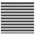 VidaXL Zebra-Rollo 160x150 cm Stoffbreite 155,9 cm Schwarz