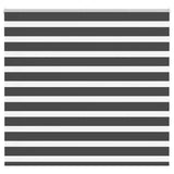 VidaXL Zebra-Rollo 165x150 cm Stoffbreite 160,9 cm Schwarz