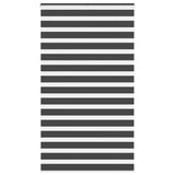 VidaXL Zebra-Rollo 120x230 cm Stoffbreite 115,9 cm Schwarz