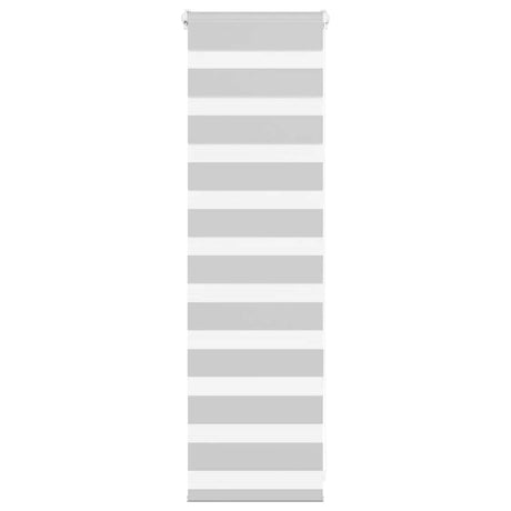 VidaXL Zebra-Rollo 40x100 cm Stoffbreite 35,9 cm Hellgrau
