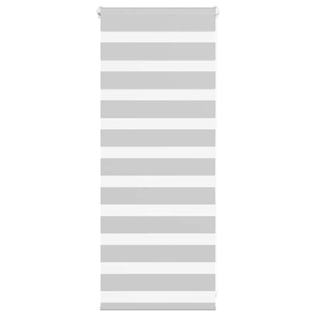 VidaXL Zebra-Rollo 65x100 cm Stoffbreite 60,9 cm Hellgrau