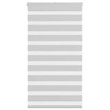 VidaXL Zebra-Rollo 70x100 cm Stoffbreite 65,9 cm Hellgrau
