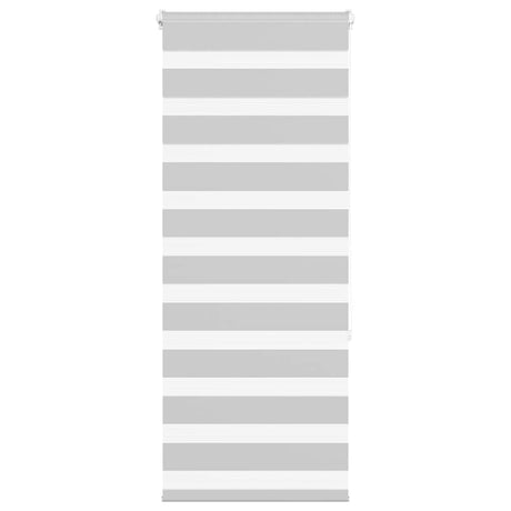 VidaXL Zebra-Rollo 65x150 cm Stoffbreite 60,9 cm Hellgrau