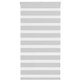 Vidaxx Zebra-Rollo 90x150 cm Stoffbreite 85,9 cm Hellgrau