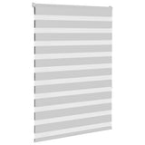 VidaXL Zebra-Rollo 100x150 cm Stoffbreite 95,9 cm Hellgrau