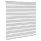 VidaXL Zebra-Rollo 150x150 cm Stoffbreite 145,9 cm Hellgrau
