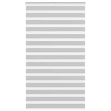 VidaXL Zebra-Rollo 120x200 cm Stoffbreite 115,9 cm Hellgrau