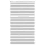 VidaXL Zebra-Rollo 120x230 cm Stoffbreite 115,9 cm Hellgrau