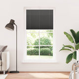 Vidaxl plissé rolgordijn 105x200cm stofbreedte 104,4cm polyester zwart