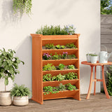 Vidaxx Gewürzbehälter 6-lagig 69x40x101,5 cm massives Kiefernholz, waschbraun