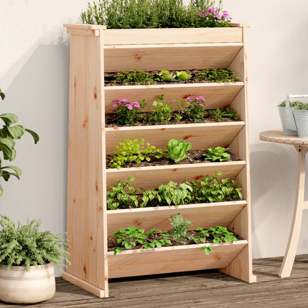 Vidaxx Kräuterbehälter 6-lagig 69x40x101,5 cm massives Kiefernholz
