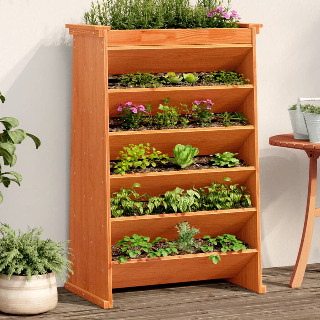 Vidaxx Gewürzbehälter 6-lagig 69x40x101,5 cm massives Kiefernholz, waschbraun