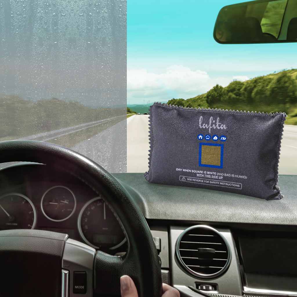 Vidaxl Luftentfeuchter für das Auto wiederverwendbar 2 Stück 400 g