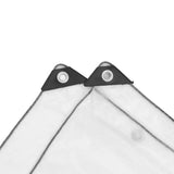 Vidaxx transparente Plane mit Ösen 2x5 m Polyethylen