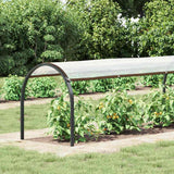 Vidaxx transparente Plane mit Ösen 1x6 m Polyethylen