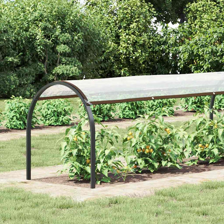 Vidaxx transparente Plane mit Ösen 1x6 m Polyethylen