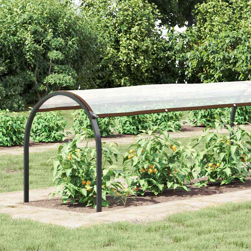 Vidaxx transparente Plane mit Ösen 1x10 m Polyethylen