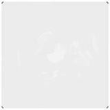 Vidaxx transparente Abdeckung mit Ösen 2x2 m PVC