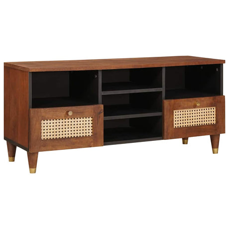 Vidaxl tv-kast met lade bruin 100 x 33,5 x 46 cm massief mango hout
