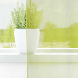 Vidaxl gordijnen voile met doorvoertules 2 st 140x225 cm appelgroen