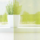 Vidaxl voile gordijnen met doorvoertules 2 st 140x300 cm appelgroen