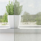 Vidaxl gordijnen voile met doorvoertules 2 st 140x260 cm lichtgrijs