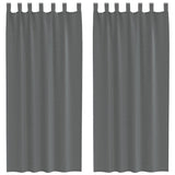 Vidaxl gordijnen voile met lussen 2 st 140x245 cm donkergrijs