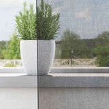 Vidaxl gordijnen voile met lussen 2 st 140x245 cm donkergrijs