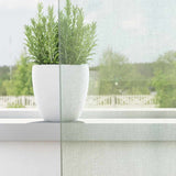 Vidaxl gordijnen voile met lussen 2 st 140x260 cm lichtgrijs