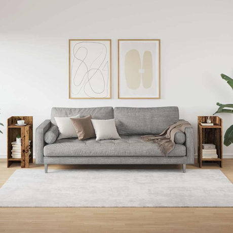 Vidaxl bijzettafels 2 st met plank 25,5x27x60 cm oud houtkleurig