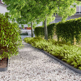 Vidaxl gazonranden 10 st 10x103 cm koudgewalst staal antraciet