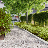 Vidaxl gazonranden 50 st 10x103 cm koudgewalst staal wit