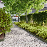 Vidaxl gazonrand 50 st 10 x 103 cm koudgewalst staal olijfgroen