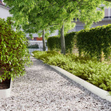 Vidaxl gazonranden 10 st 15x103 cm koudgewalst staal wit