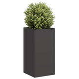 Vidaxl plantenbak 40x40x80 cm koudgewalst staal zwart