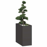 Vidaxl plantenbak 40x80x80 cm staal zwart