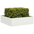 Vidaxl plantenbak 100x100x30 cm staal wit