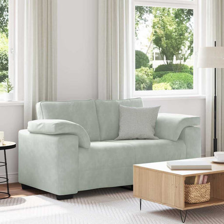 Vidaxl loveseat bank 160x77x82 cm fluweel lichtgrijs