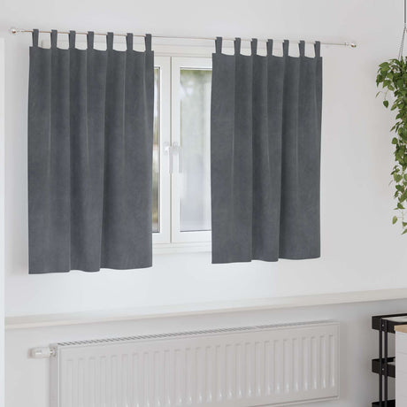 Vidaxl gordijnen 2 st lichtgrijs 140 x 140 cm fluweel