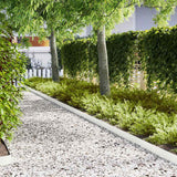 Vidaxl tuinrand 20 pcs wit 100 x 0.05 x 20 cm koudgewalst staal