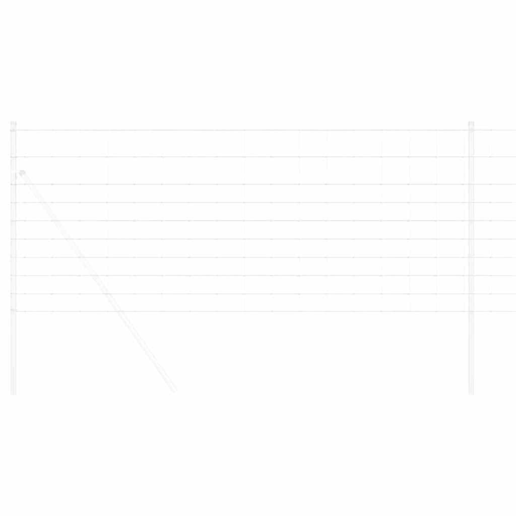 Vidaxl wilde hek warm verzinkt 1000 x 100 x 0.18 cm ijzer